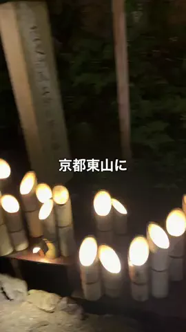 けんの神戸グルメ日記のTikTok投稿