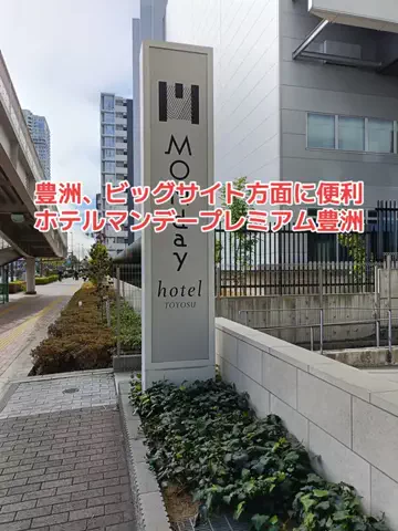 野良猫　イチくんとナナちゃんのTikTok投稿