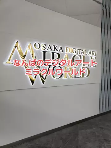 野良猫　イチくんとナナちゃんのTikTok投稿