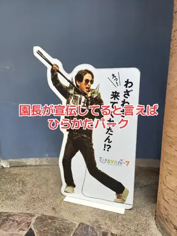 野良猫　イチくんとナナちゃんのTikTok投稿