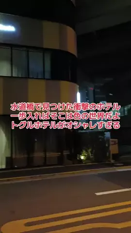野良猫　イチくんとナナちゃんのTikTok投稿