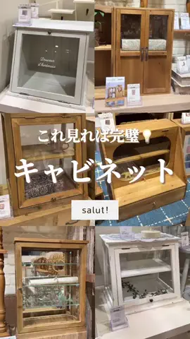 はるの𓊆 好きを見逃さない新作雑貨速報 𓊇のTikTok投稿