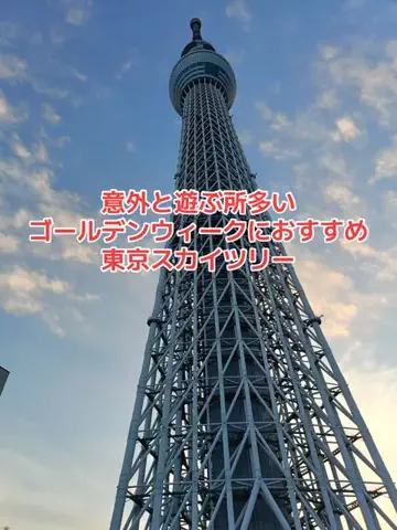 野良猫　イチくんとナナちゃんのTikTok投稿