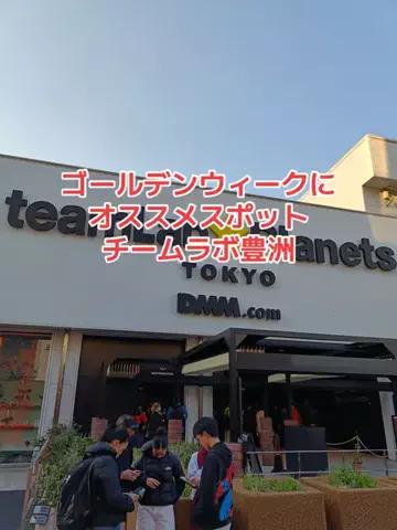野良猫　イチくんとナナちゃんのTikTok投稿