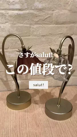 はるの𓊆 好きを見逃さない新作雑貨速報 𓊇のTikTok投稿