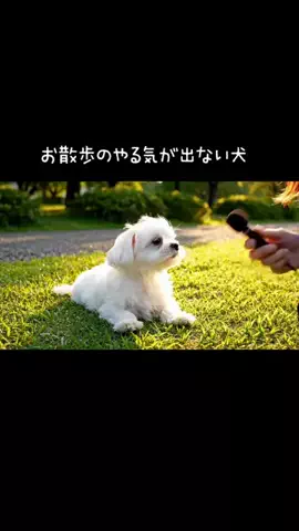 犬猫総合製薬株式会社のTikTok投稿