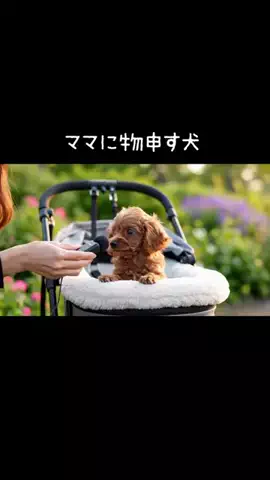 犬猫総合製薬株式会社のTikTok投稿