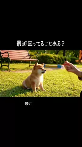 犬猫総合製薬株式会社のTikTok投稿