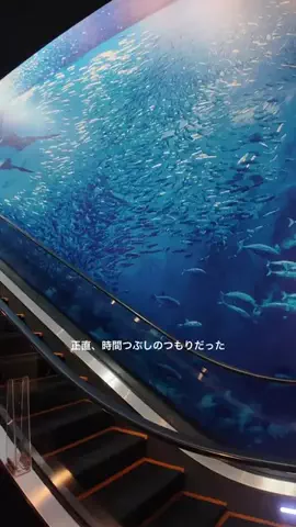 すずりっぷ｜宿・ホテル紹介のTikTok投稿