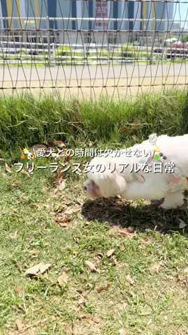 かなえ🐰元美容受付の自由な働き方のTikTok投稿
