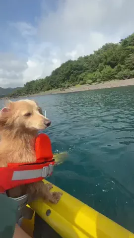 Hanaの暮らしのTikTok投稿