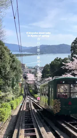 マイタビ / JAPAN TRIPのTikTok投稿