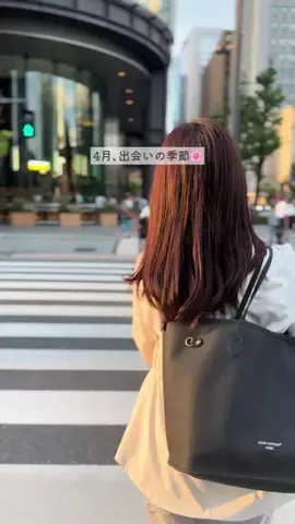 fuu_konkatsuのTikTok投稿