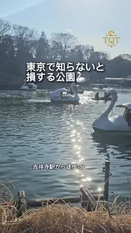 東京クイーン [tokyoqueen]のTikTok投稿