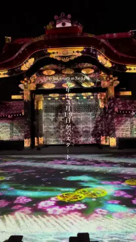 マイタビ / JAPAN TRIPのTikTok投稿