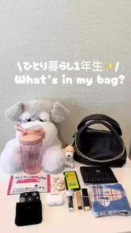 めろのTikTok投稿