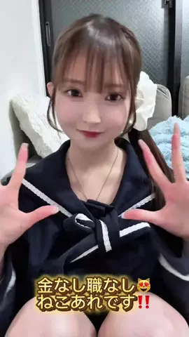 ねこあれのTikTok投稿