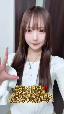 ねこあれのTikTok投稿