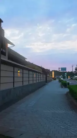 koki_kokitvのTikTok投稿