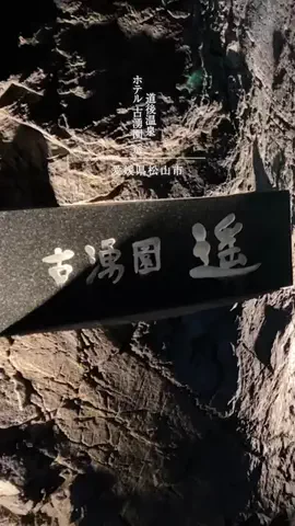 koki_kokitvのTikTok投稿