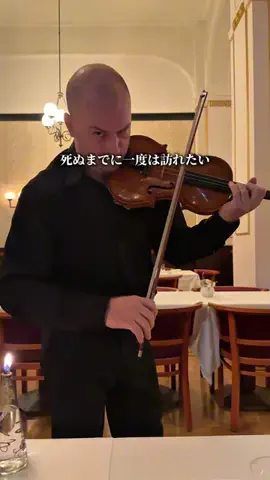 東京上質レストランのTikTok投稿
