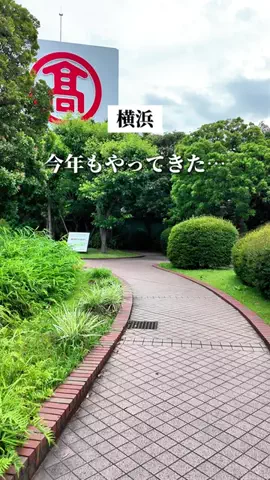 yokochu_yokohamaのTikTok投稿