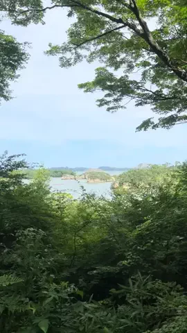 さき^._.^♡のTikTok投稿