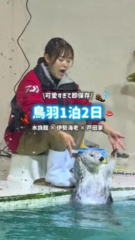 🇯🇵日本旅クラブ🌈のTikTok投稿