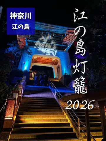 LittleBamboo.lsのTikTok投稿