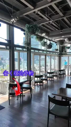 LittleBamboo.lsのTikTok投稿
