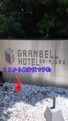 LittleBamboo.lsのTikTok投稿