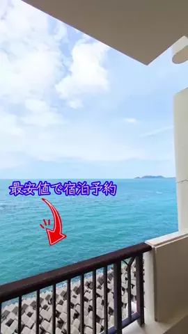 LittleBamboo.lsのTikTok投稿