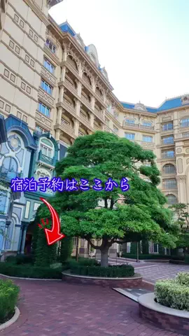 LittleBamboo.lsのTikTok投稿