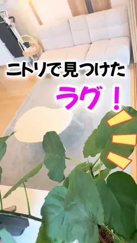 はるチャンネルのTikTok投稿