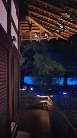 Japan WalkerのTikTok投稿