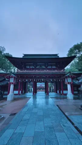 Japan WalkerのTikTok投稿