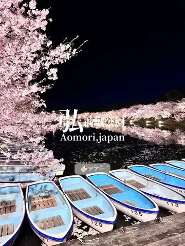 旅するtakkiのTikTok投稿