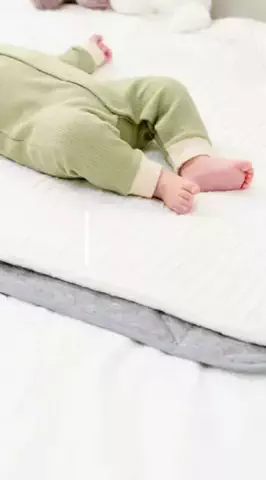 coalaのTikTok投稿