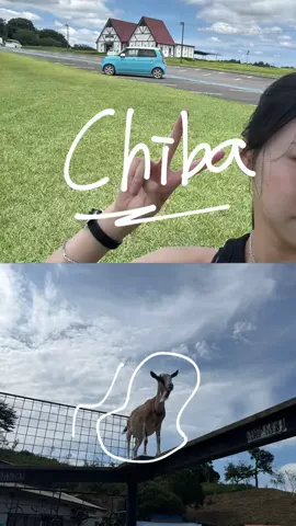 群馬発すー旅⌇旅と暮らしのTikTok投稿