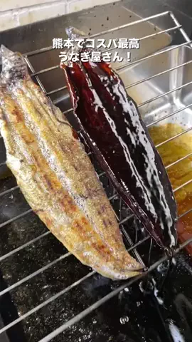 腹ぺこみっちゃん🍉🥩のTikTok投稿