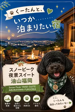 ritsu🐶💚🐎のTikTok投稿