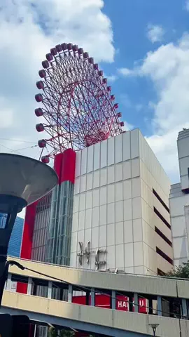 あーちゃんのTikTok投稿