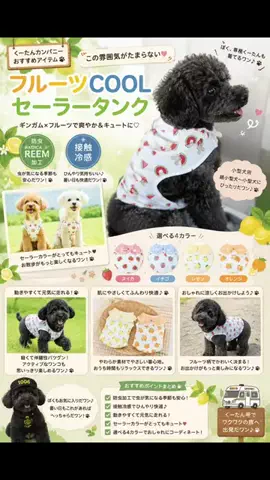 ritsu🐶💚🐎のTikTok投稿