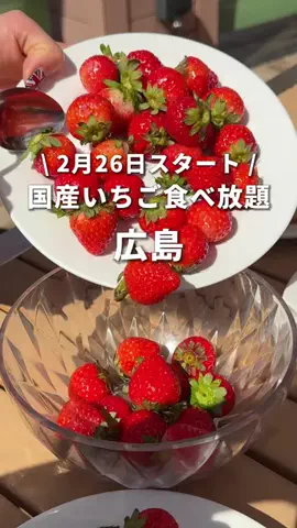 鯉の介。のTikTok投稿