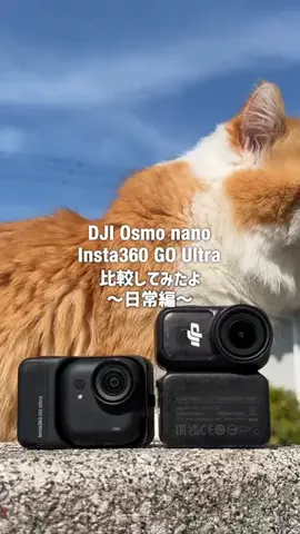 MOMOTASU🍑のTikTok投稿