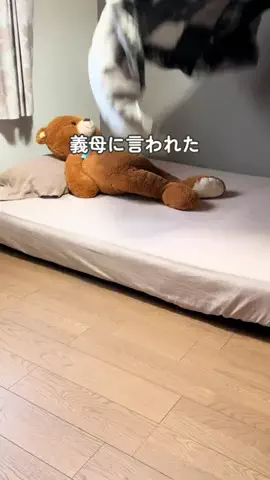 あず⌇不器用なママでも整う暮らしのTikTok投稿