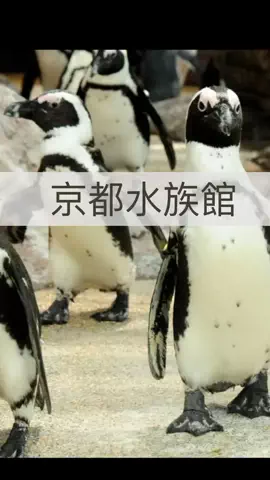まりのTikTok投稿