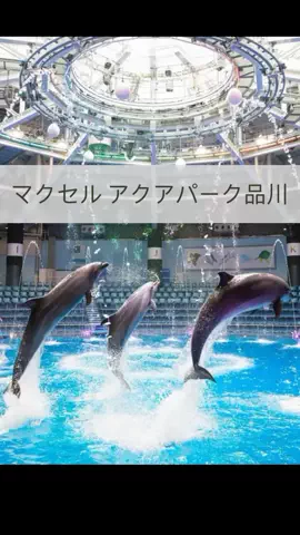 まりのTikTok投稿