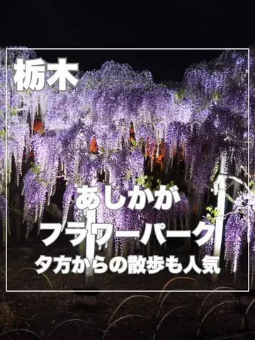 まんぷくオンニ｜ホテル旅のTikTok投稿