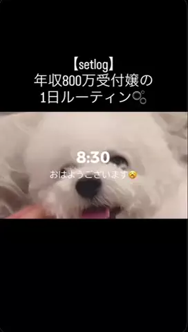 なな⌇接客業から受付嬢に転生した元社畜24歳のTikTok投稿